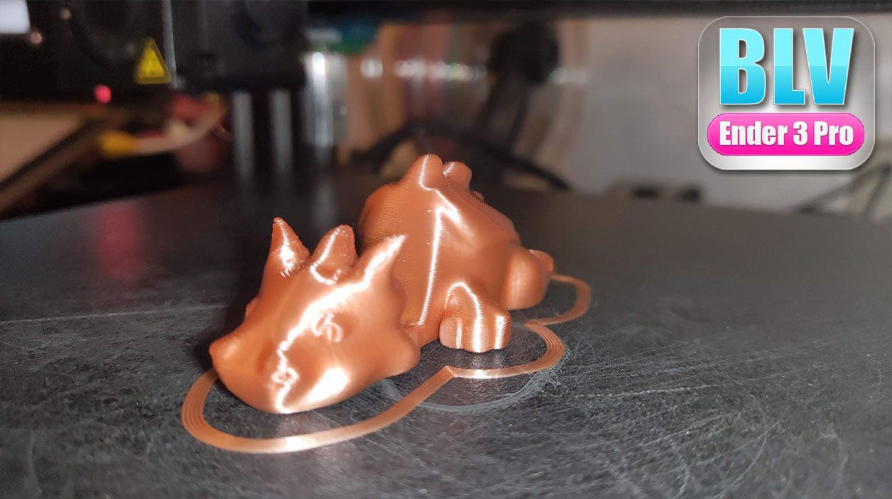 Print sample